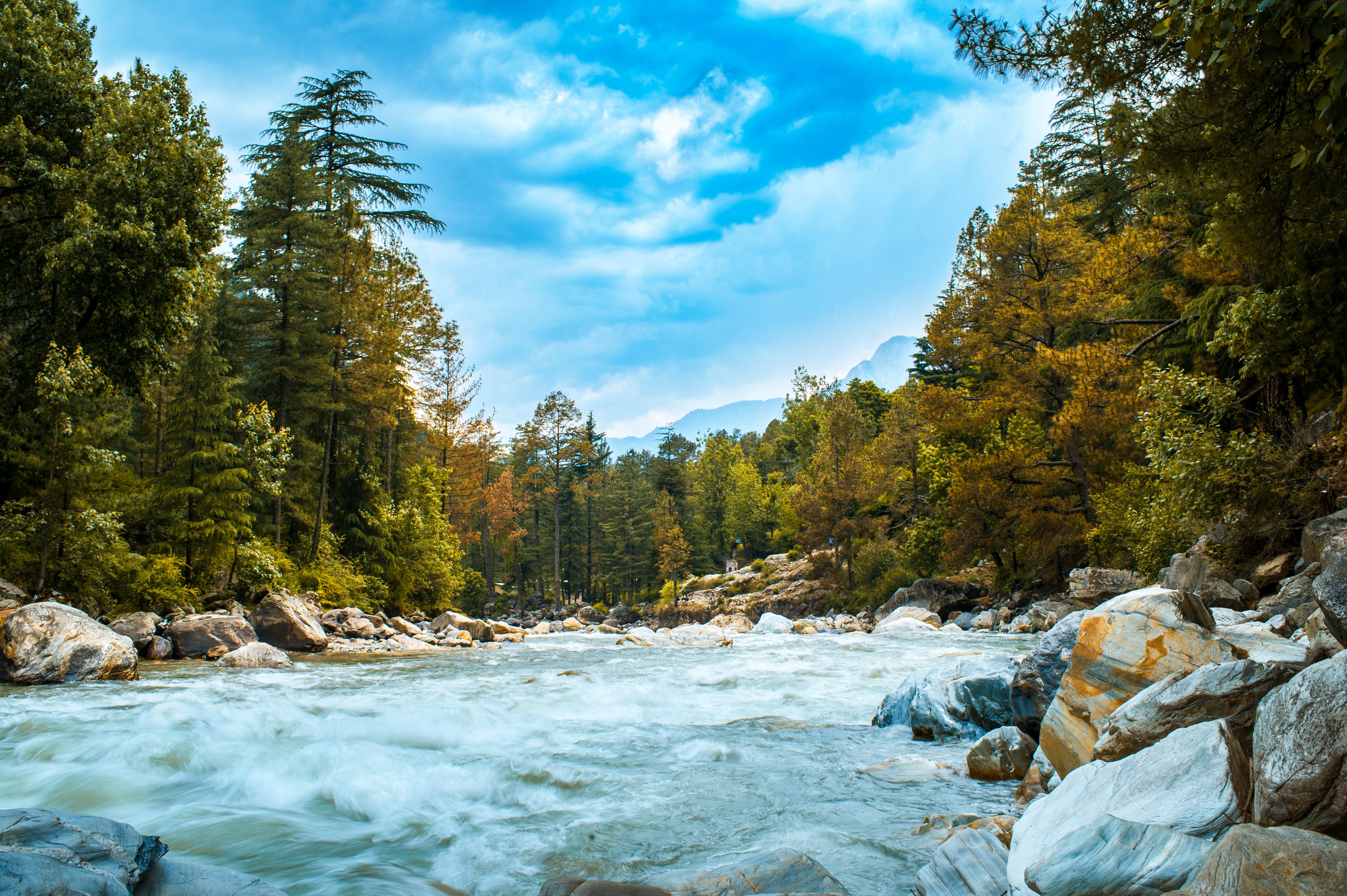 Honeymoon in Shimla and Manali